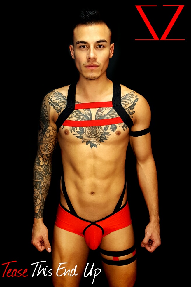 Black with Red Men's Chest Harness