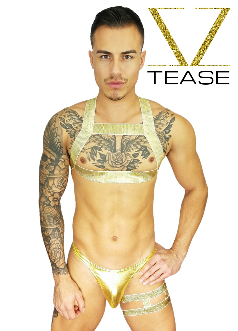 Gold Bouncer Chest Harness