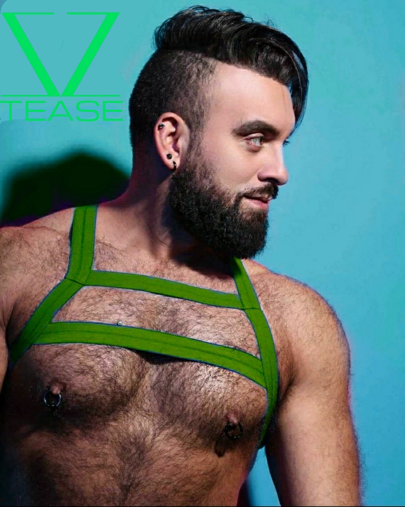Green Double Strap Harness