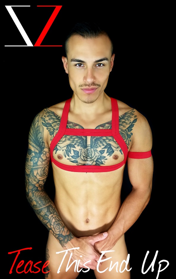 Red Bouncer Chest Harness Club Wear