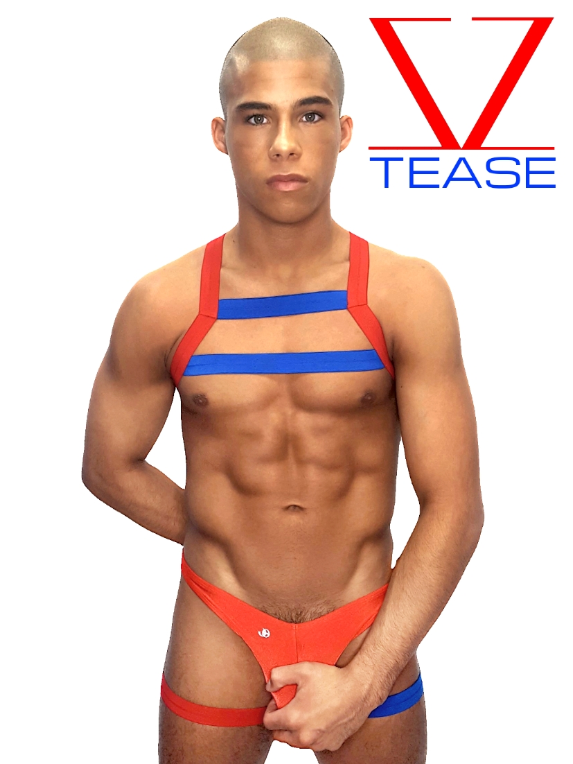 Red Blue Men's Double Chest Harness