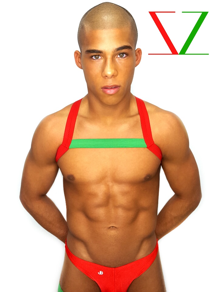 Green Single Chest Red Christmas Harness