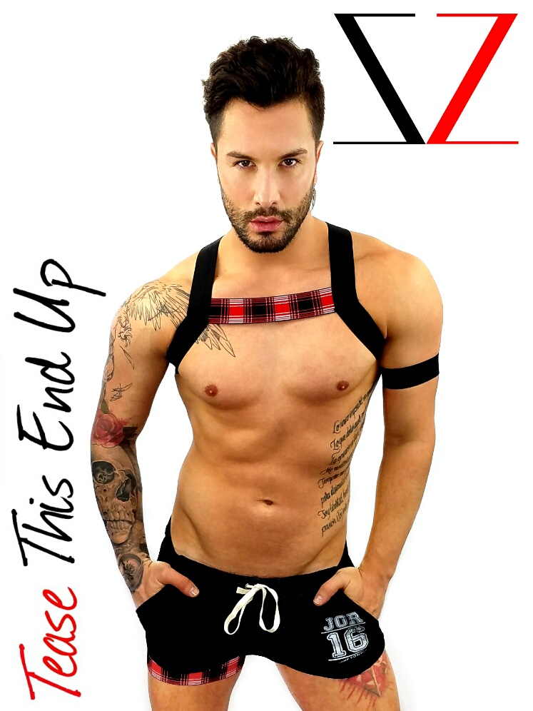 Red Plaid Single Chest Harness