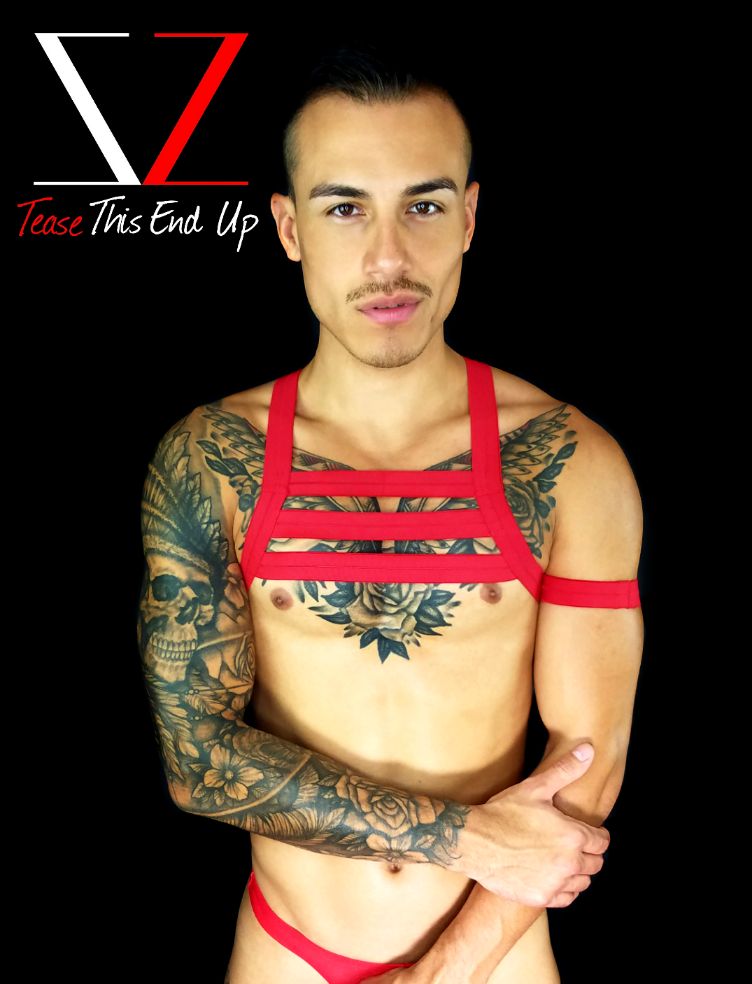 Red Triple Chest Harness