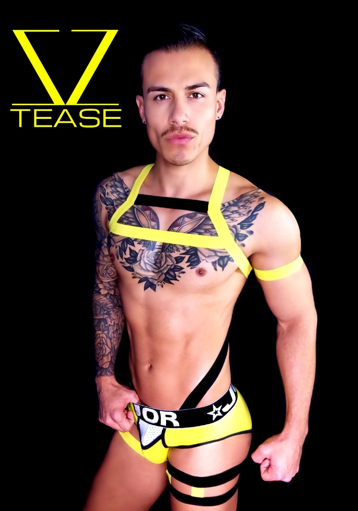 Yellow Black Double Chest Guys Harness